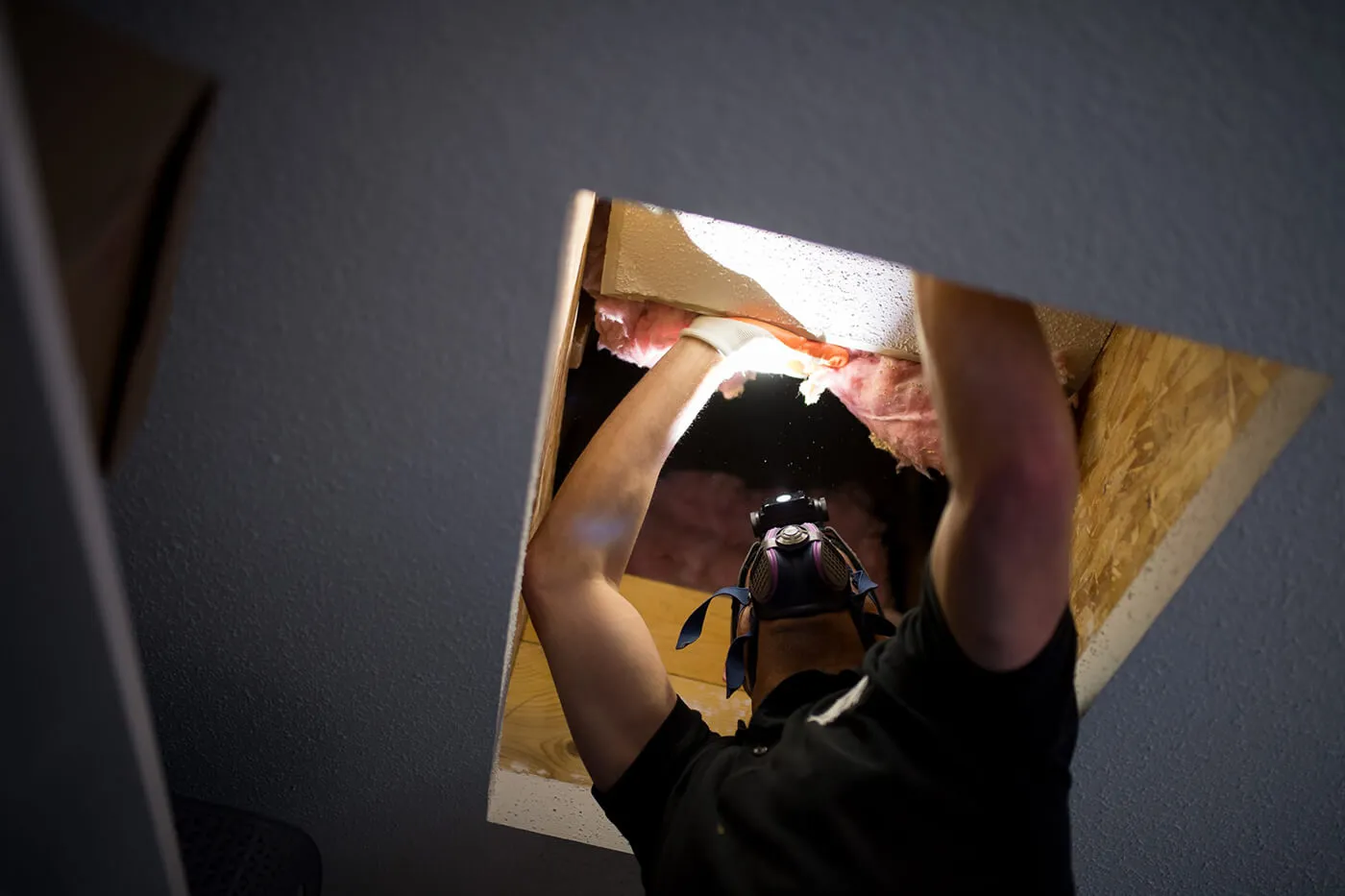 Mold Safe Solutions technician in a respirator pulling back attic insulation through a ceiling hatch